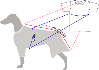 Illustration for article titled How to Avoid the Cone of Shame for Dogs Post Surgery